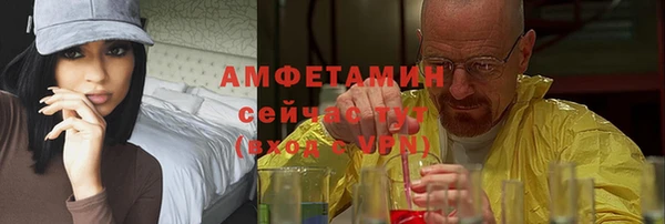 шишки Пестово