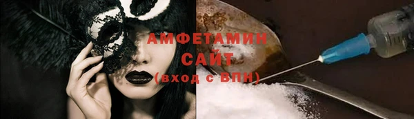 гашик Новозыбков