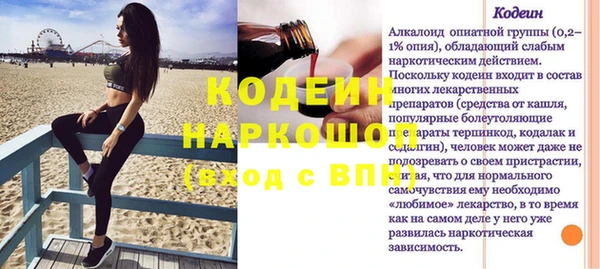шишки Пестово