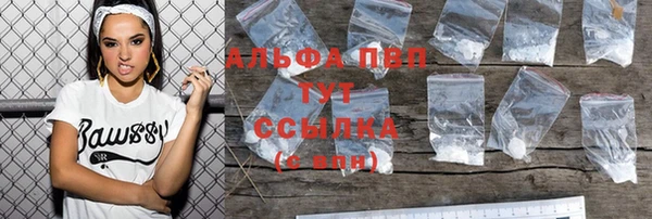 шишки Пестово