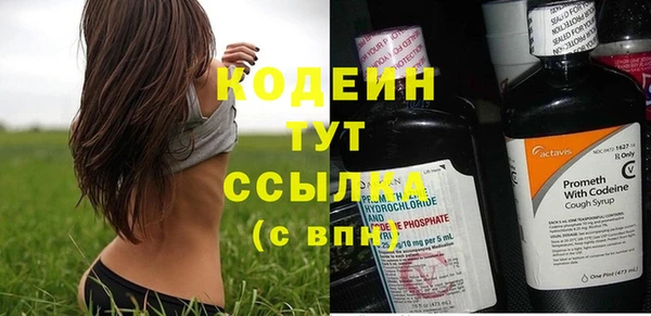 ПСИЛОЦИБИНОВЫЕ ГРИБЫ Переславль-Залесский