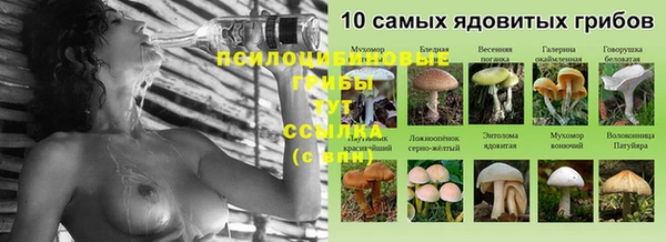 ПСИЛОЦИБИНОВЫЕ ГРИБЫ Переславль-Залесский