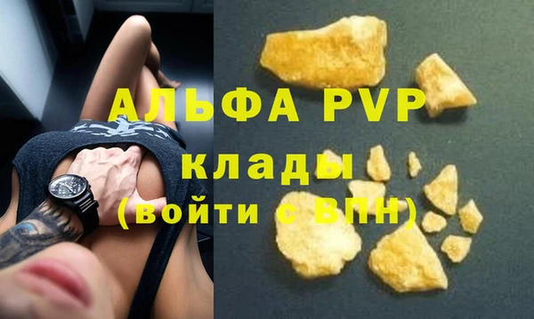 шишки Пестово
