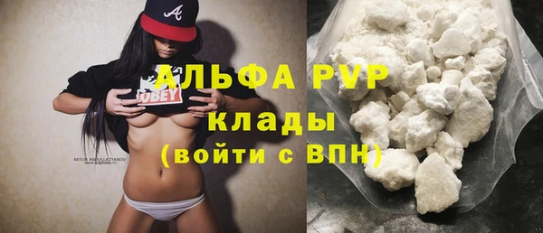 шишки Пестово