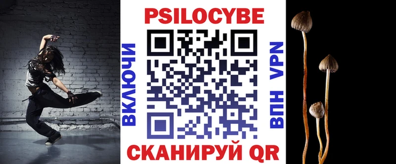 дарнет шоп  OMG сайт  сайты даркнета формула  Мосальск  Псилоцибиновые грибы Psilocybine cubensis 
